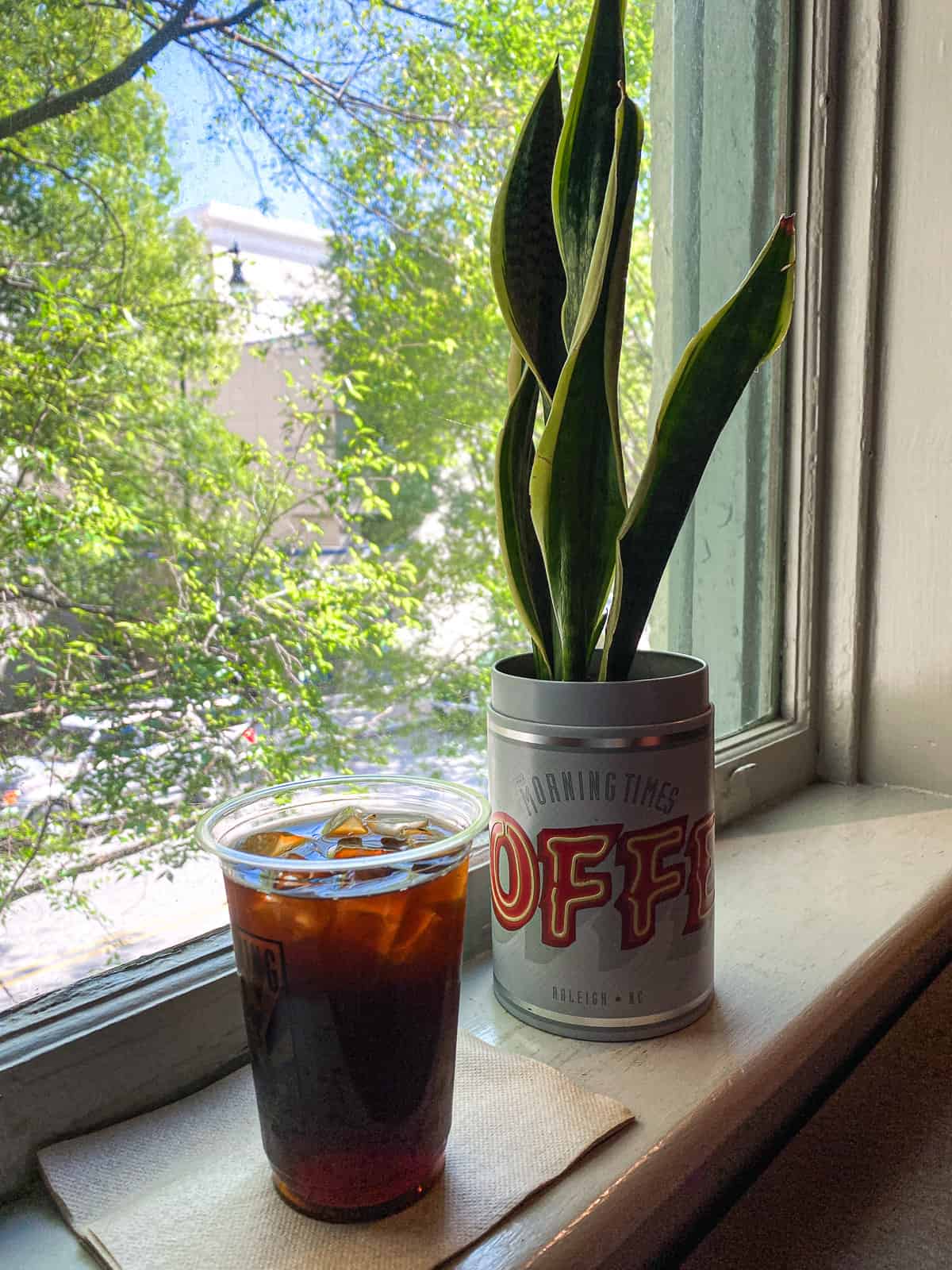 An iced coffee on a windowsill next to a plant that says morning times on the vase