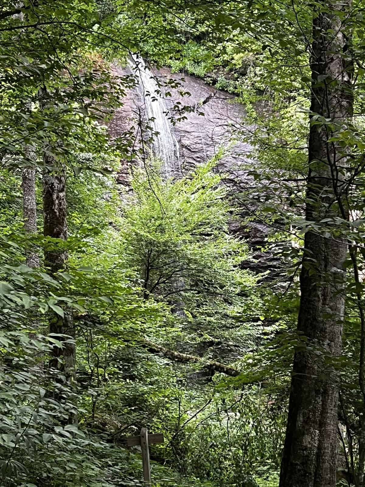 Douglas Falls in Pisgah National Forest