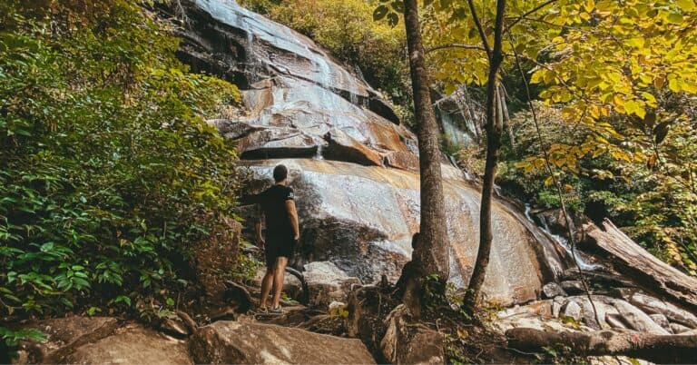 21 Pisgah National Forest Waterfalls For Adventure (2024)
