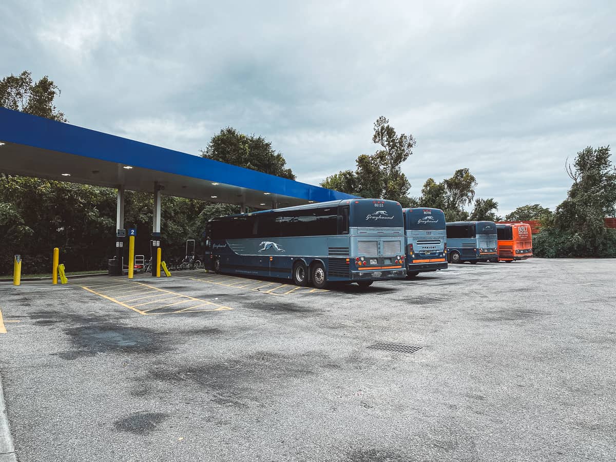 a line of Greyhound buses at the Raleigh Bus Station