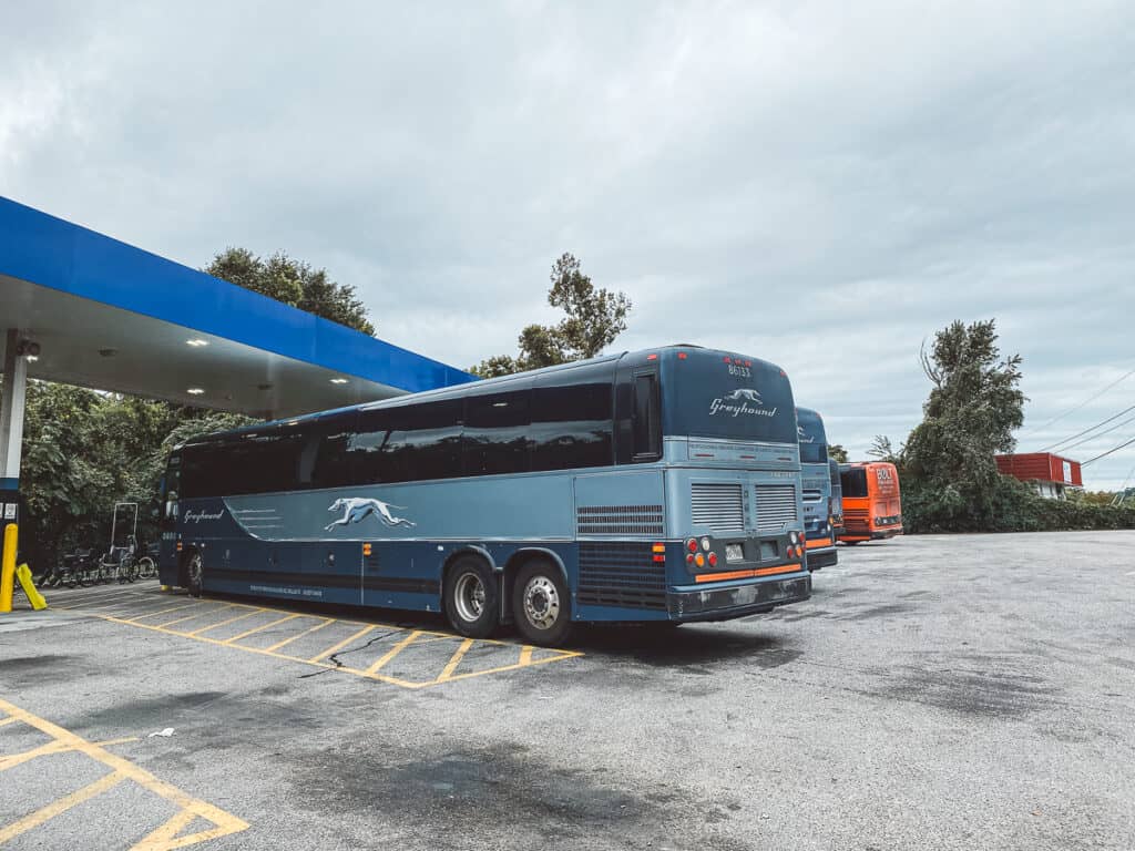 A row of blue greyhound buses at the bus station