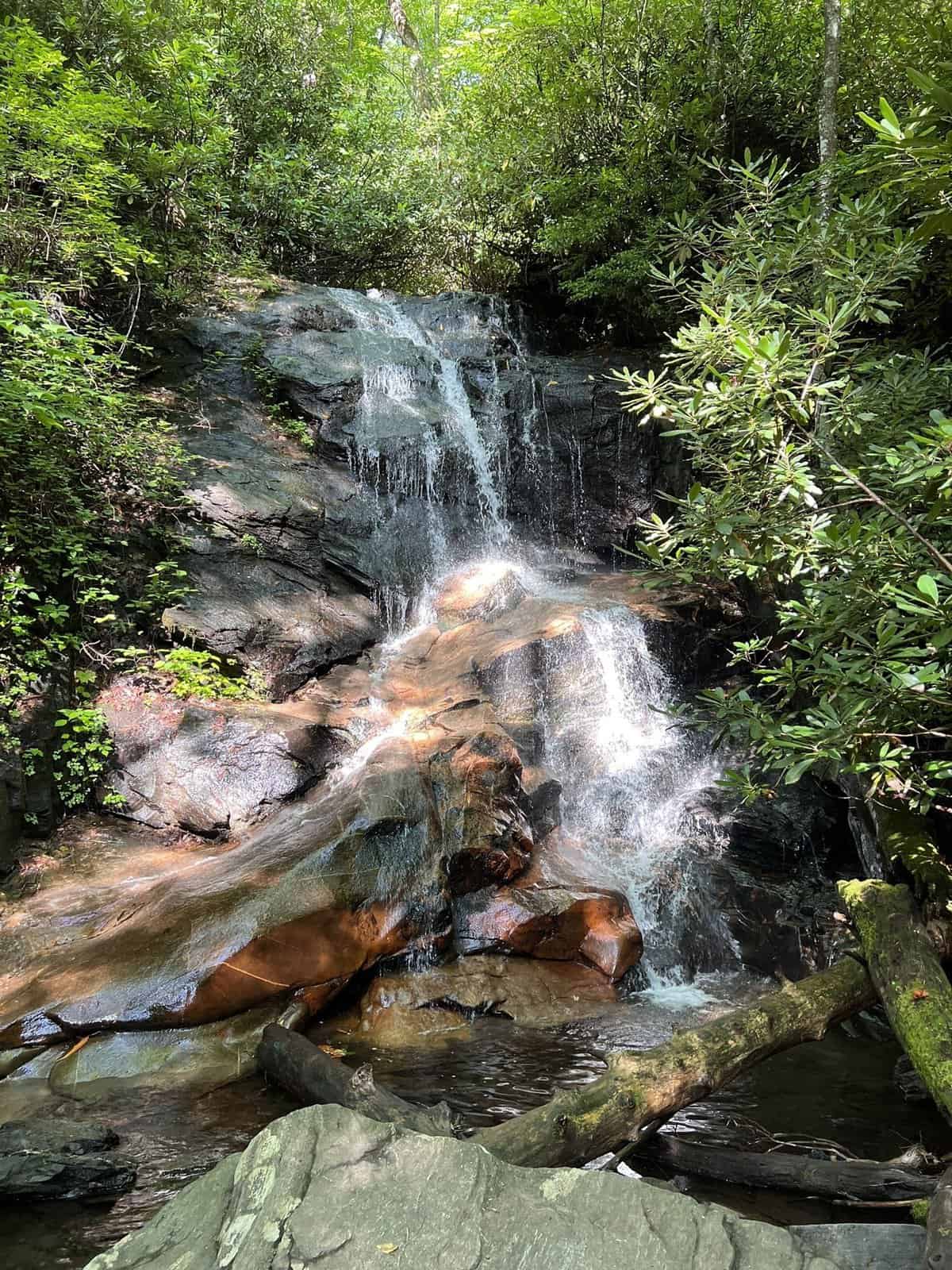 Log Hollow Falls in Pisgah National Forest