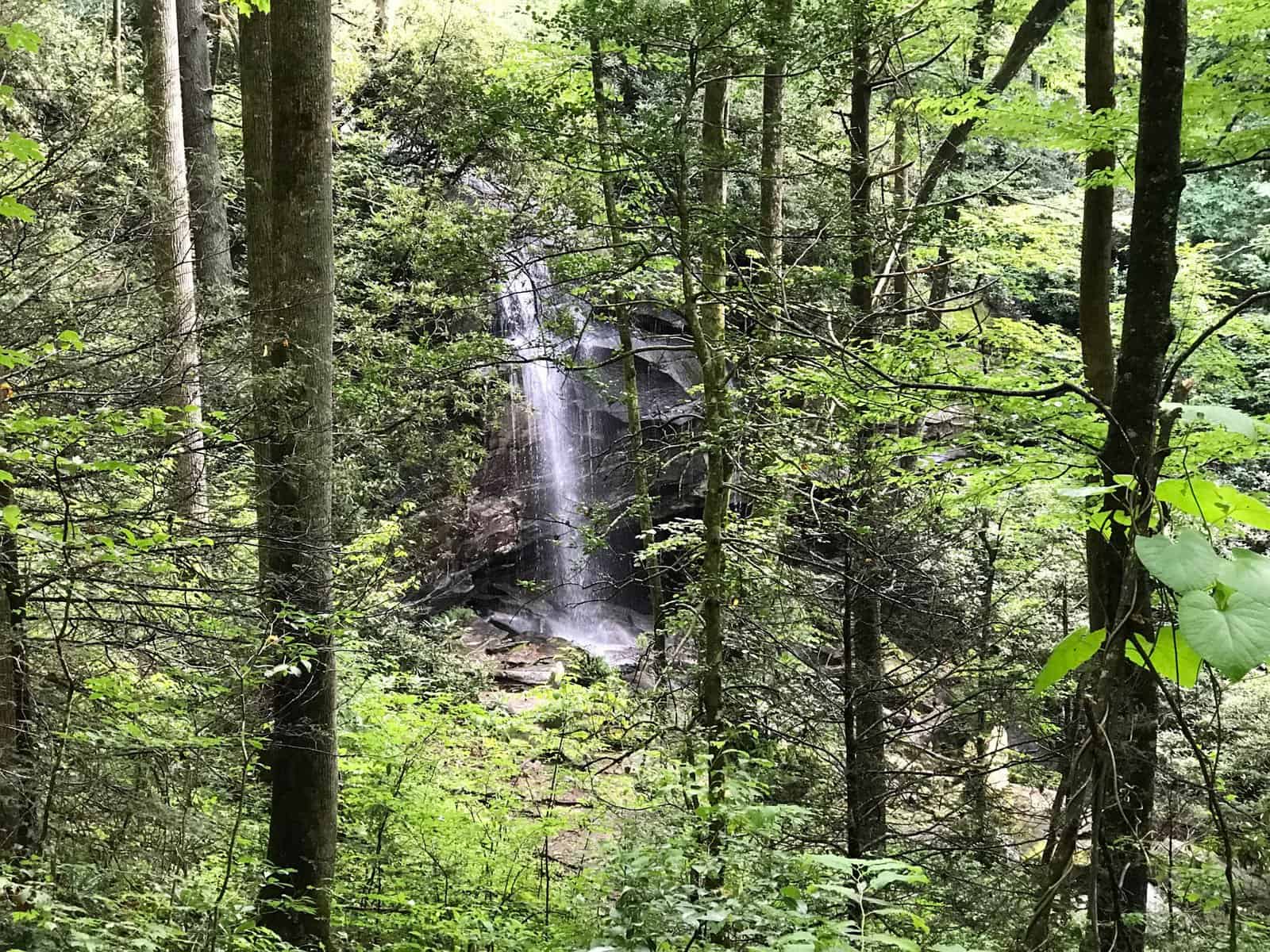 Slick Rock Falls in Pisgah National Forest