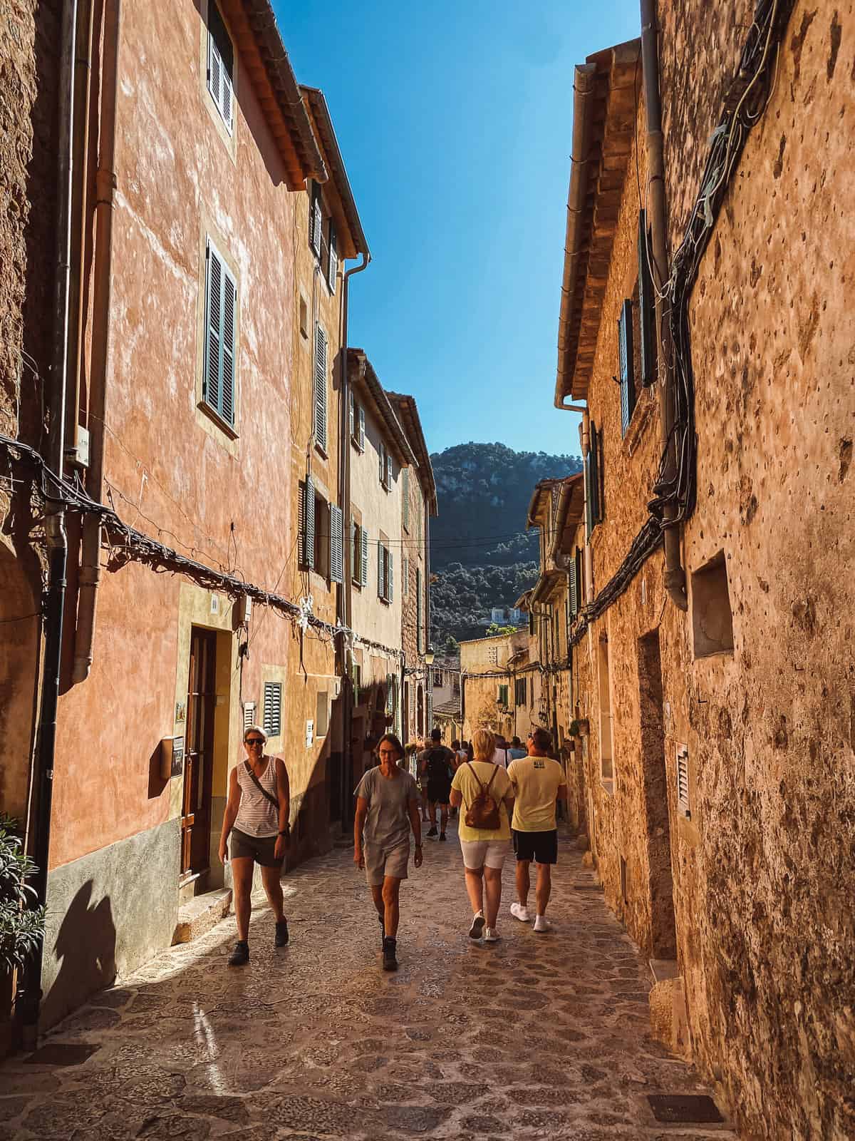 a group of tourists walking around an old stone village