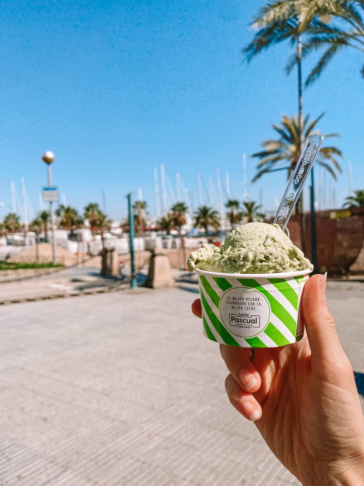 A hand holding a cup of Pistachio Gelato on a boardwalk