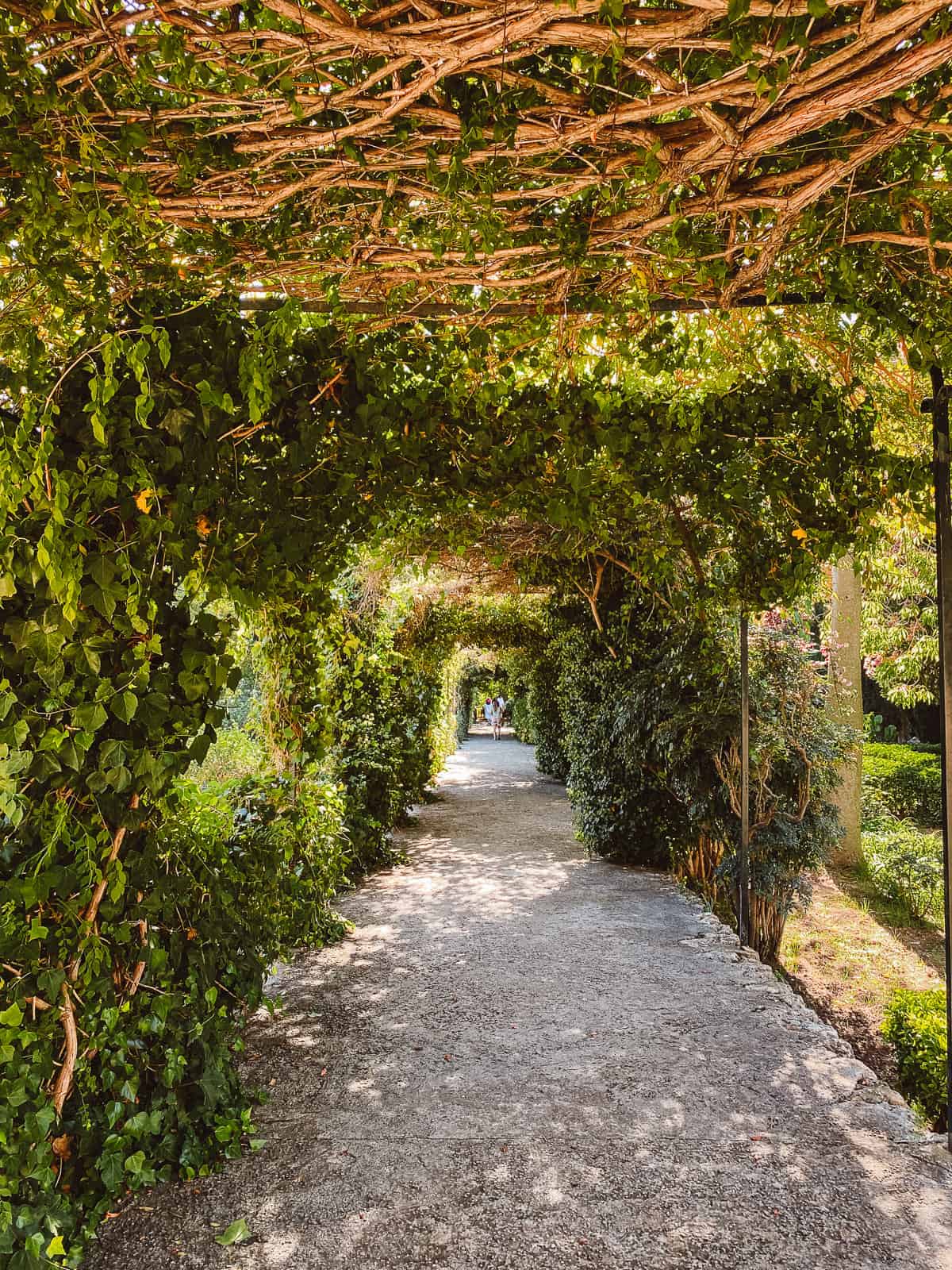 A beautiful outdoor garden hallway with ivy growing all around it at the Jardines de Alfabia