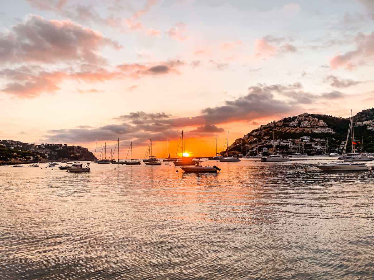 A beautiful sunset on a harbor with boats and houses in the background