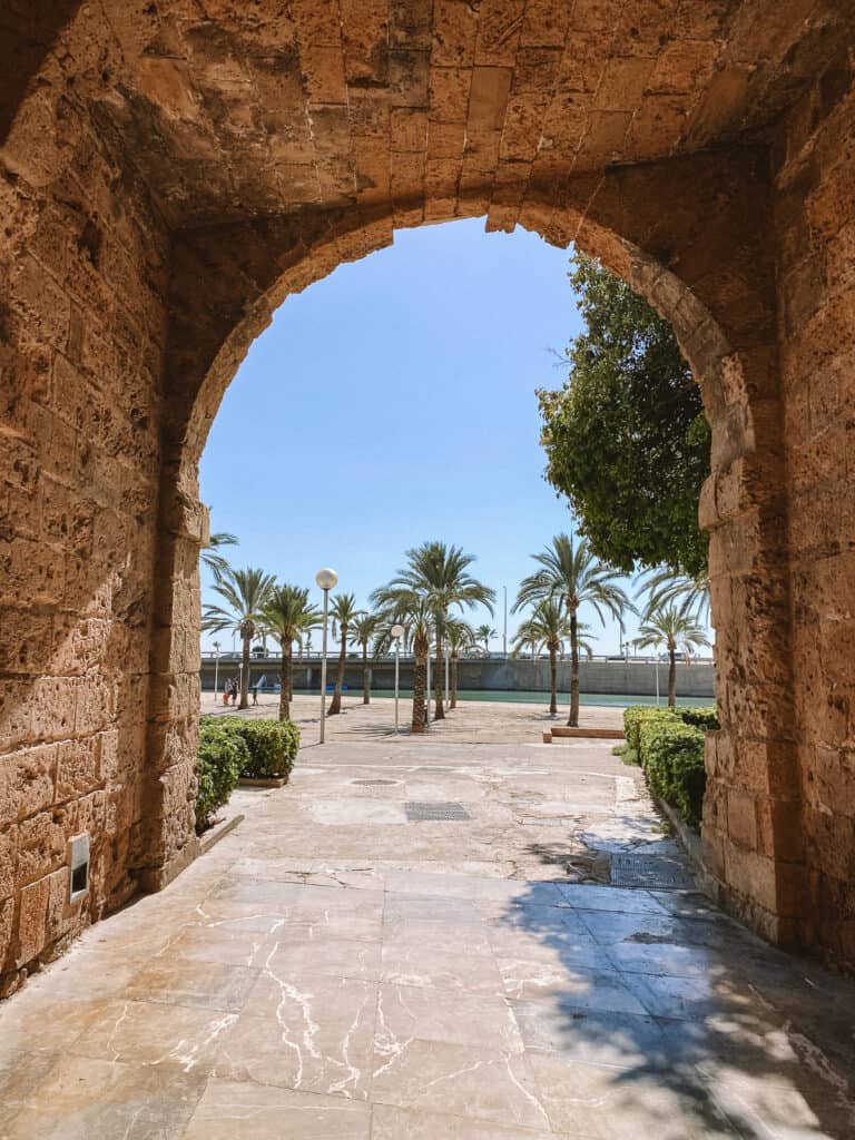 A stone archway with palm trees
