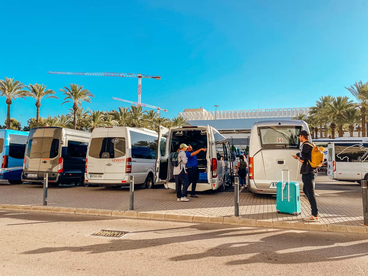 A row of shuttles in front of palm trees at the Palma International Airport