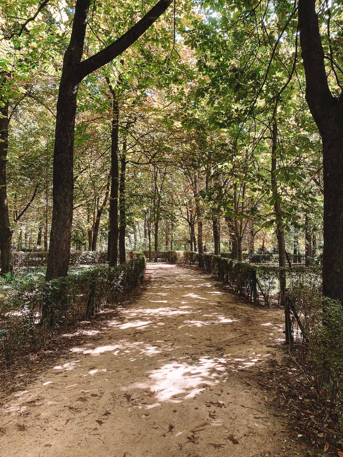 A tranquil pathway at Retiro Park, Madrid, Spain, surrounded by trees with leaves turning autumnal, highlighting the park's natural beauty in the heart of the city.