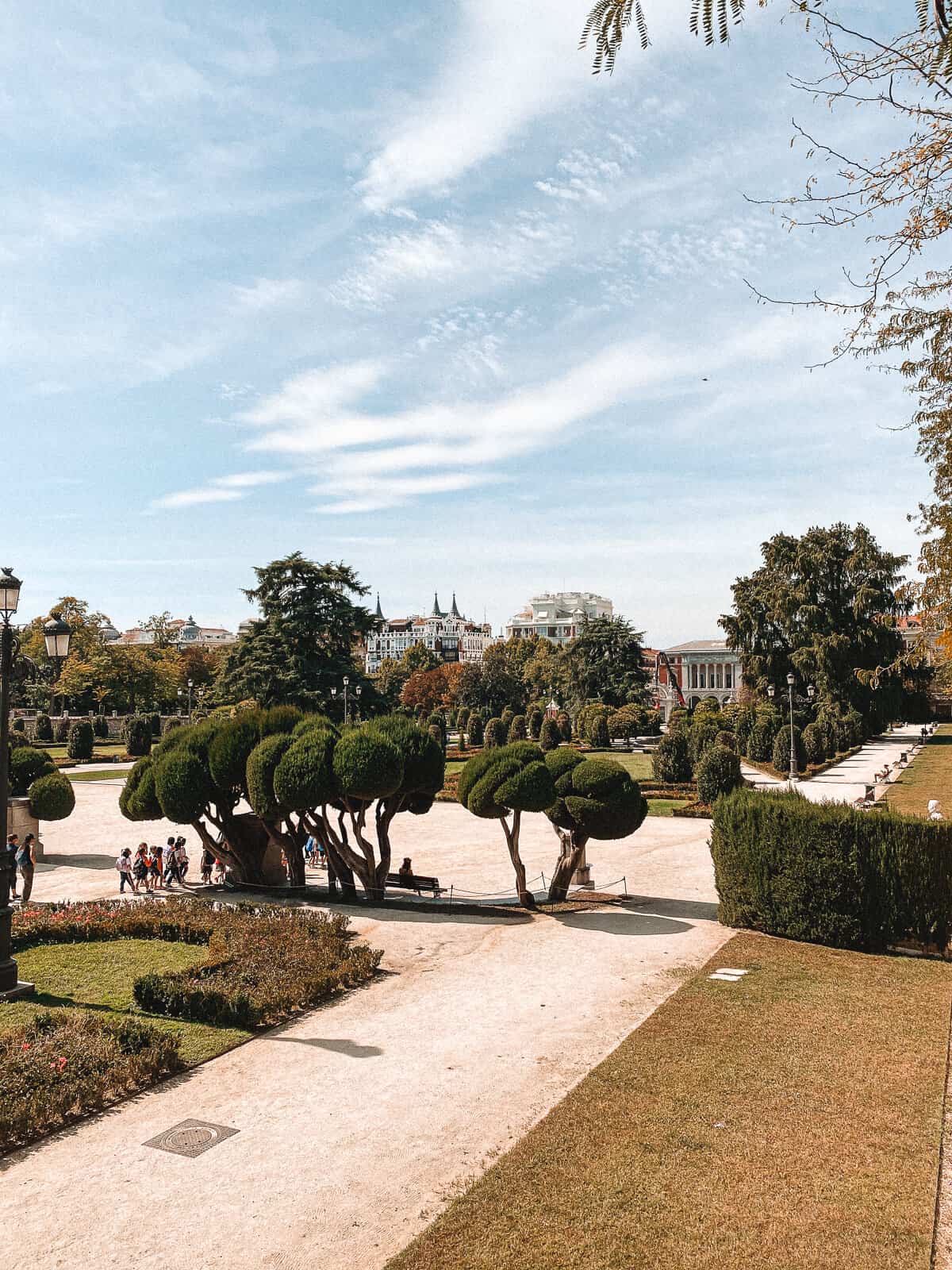 Scenic view of Retiro Park in Madrid, Spain, featuring meticulously shaped topiary trees and visitors enjoying the sunny ambiance, with Madrid’s distinctive architecture in the backdrop