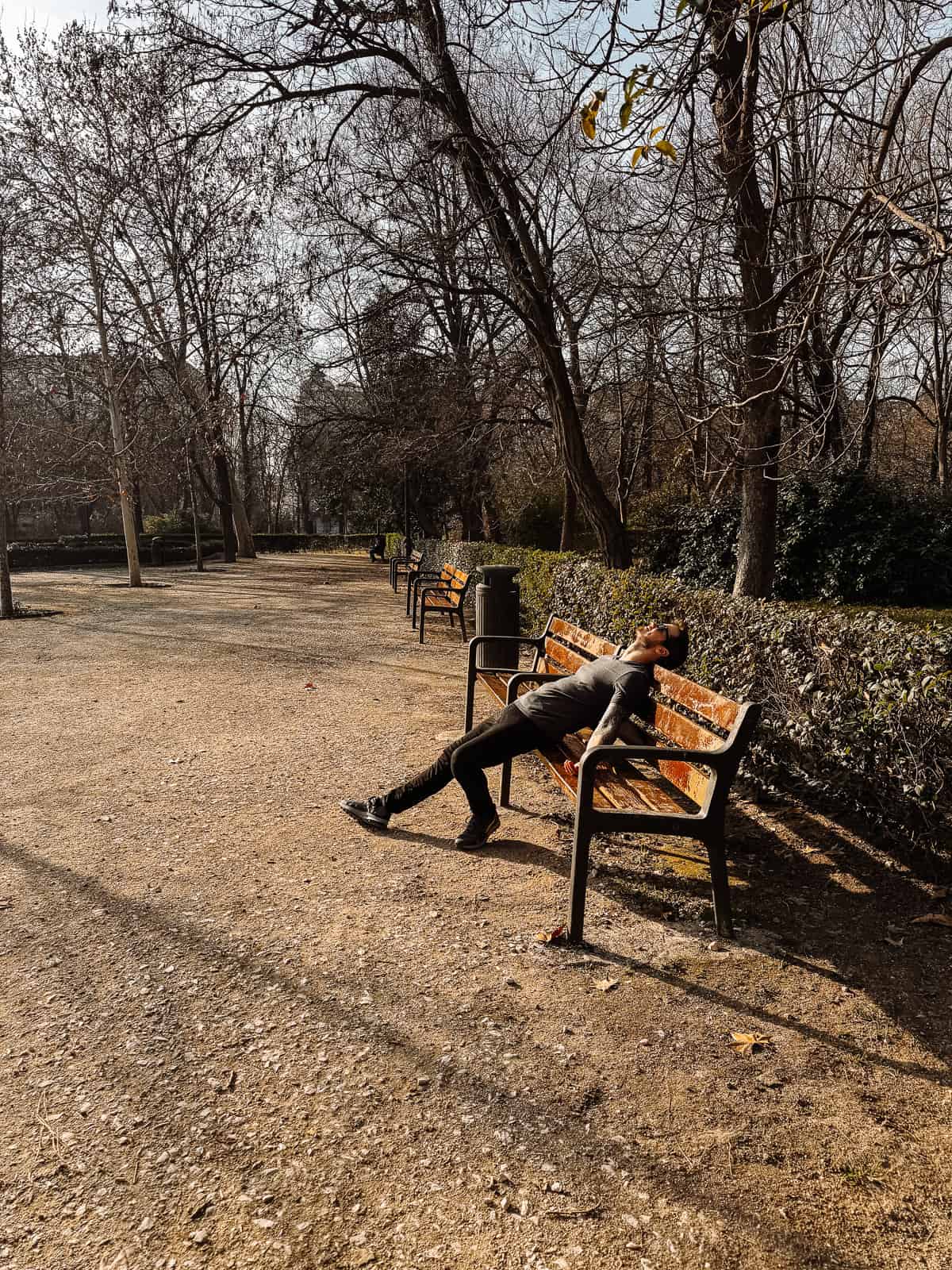 A solitary figure reclines on a park bench, soaking in the tranquility of a sun-dappled path lined with bare trees, capturing a moment of peaceful solitude in a city park
