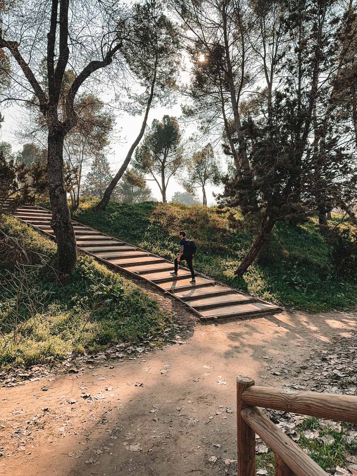 A solitary figure ascends a flight of wooden steps on a rustic trail, flanked by trees and dappled sunlight, evoking a sense of peace and solitude amidst nature.