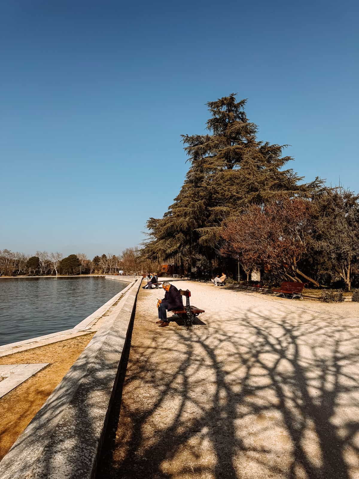 Individuals relax on benches along a serene lakeside promenade, overshadowed by a mature conifer and the clear blue sky, while the tranquility of the setting is mirrored in the still lake waters.