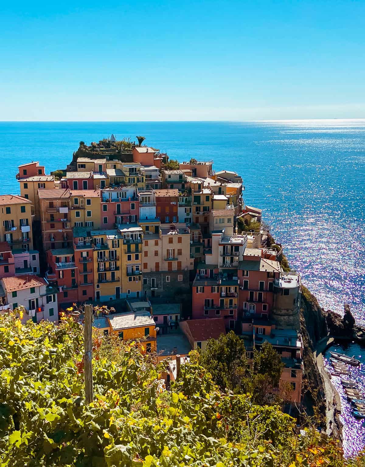 Sun-kissed colorful houses of Cinque Terre perch on the rugged Italian Riviera coastline, with sparkling blue waters of the Mediterranean Sea below, framed by a verdant vineyard in the foreground, encapsulating the quintessential charm of Italy.
