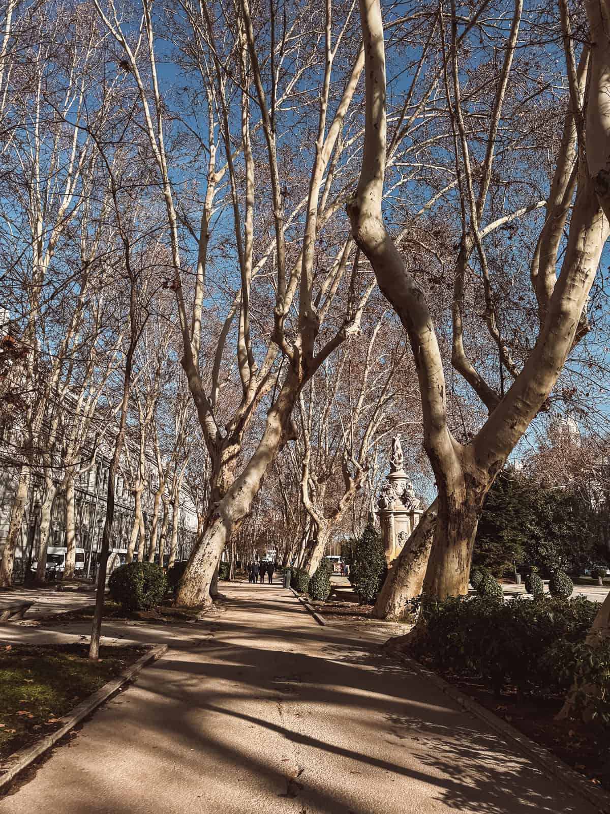 A peaceful pathway lined with tall, leafless trees casting long shadows on the ground, with pedestrians strolling in the distance on a bright, clear day.