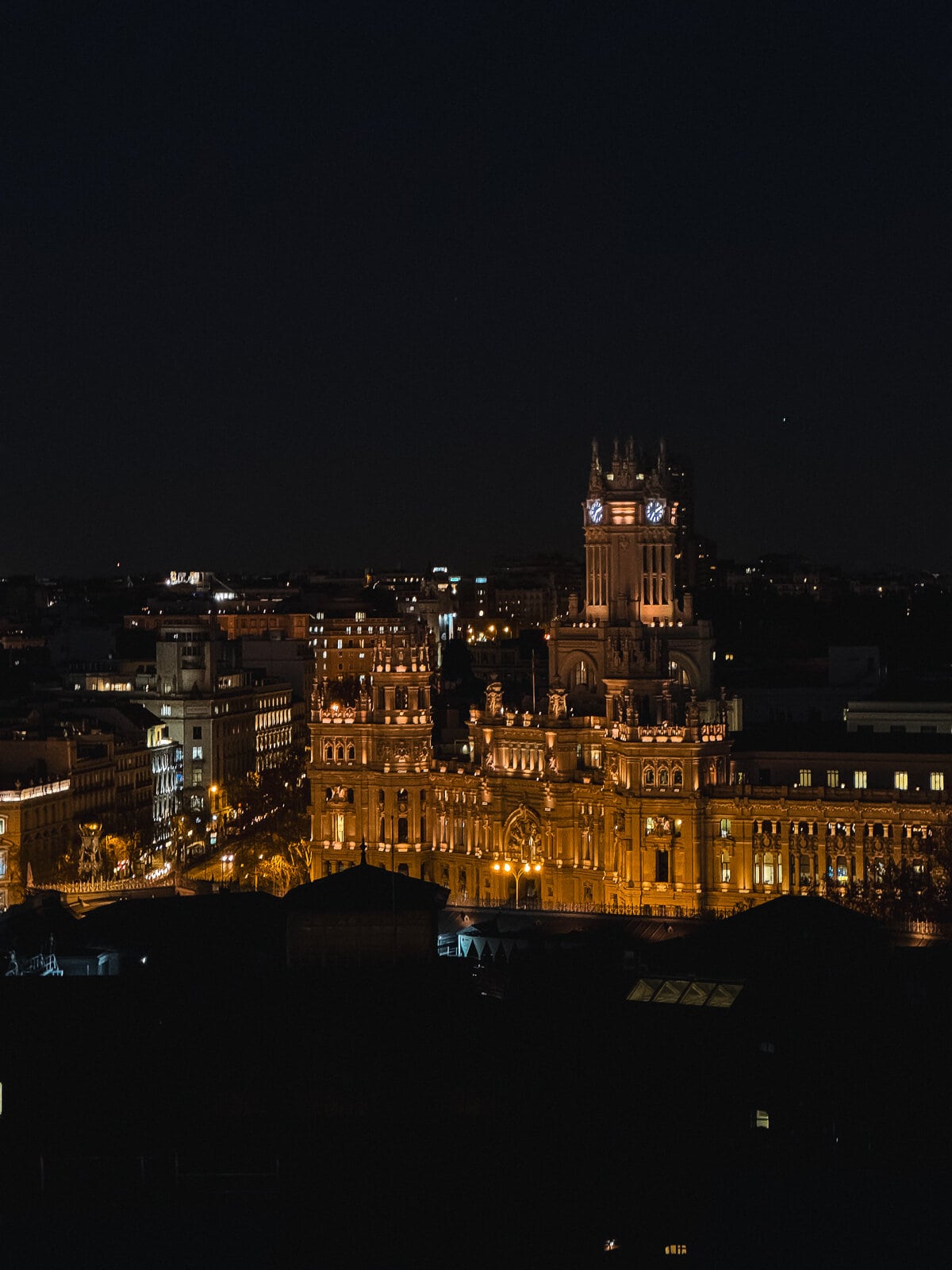 The city's architecture glows with life under the night sky, highlighted by the illuminated façade of a grand, historic building that dominates the view.