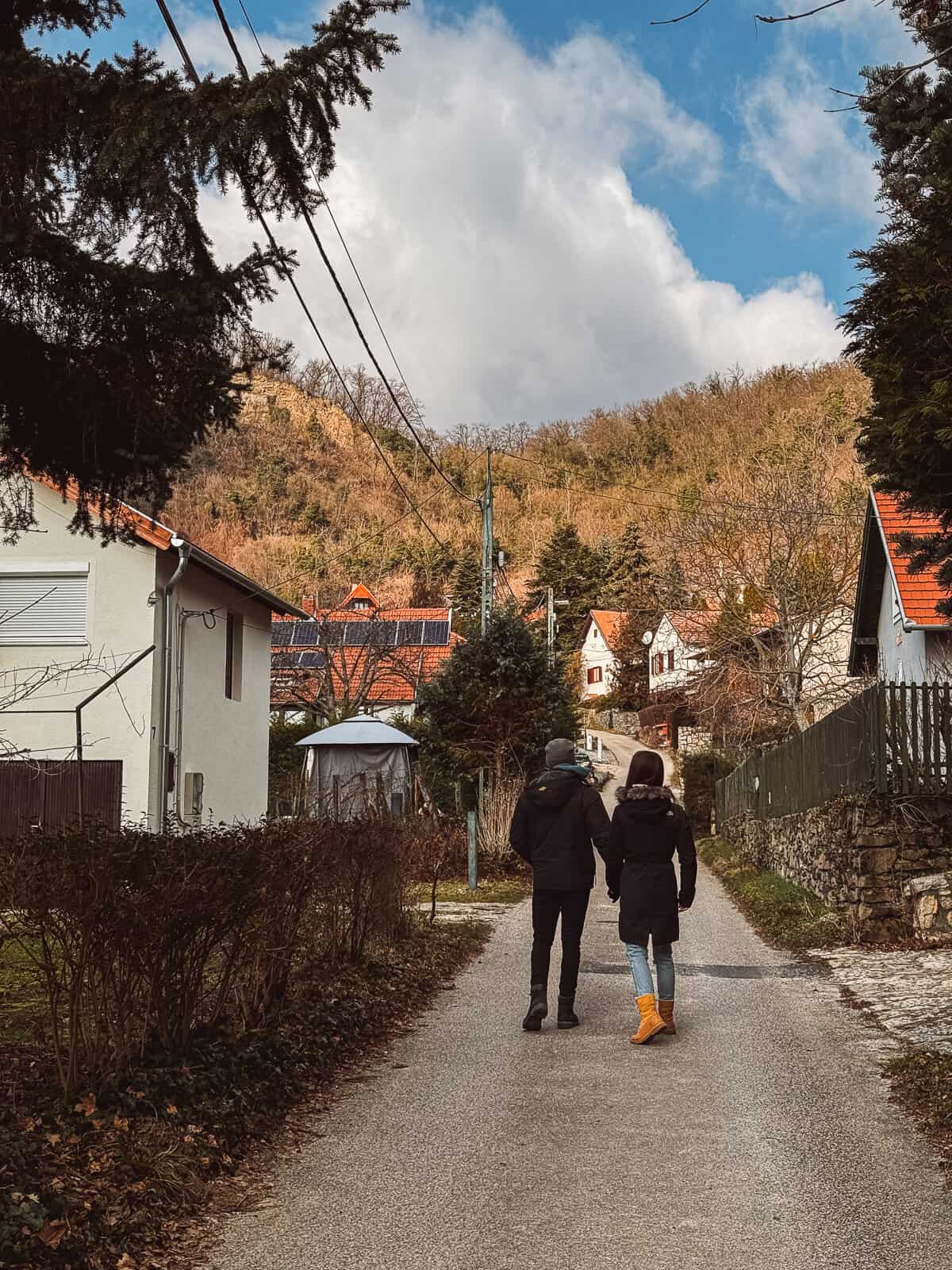 A couple walks hand in hand along a tranquil path leading towards the leafless hills near Lake Balaton, a display of serene winter countryside life.