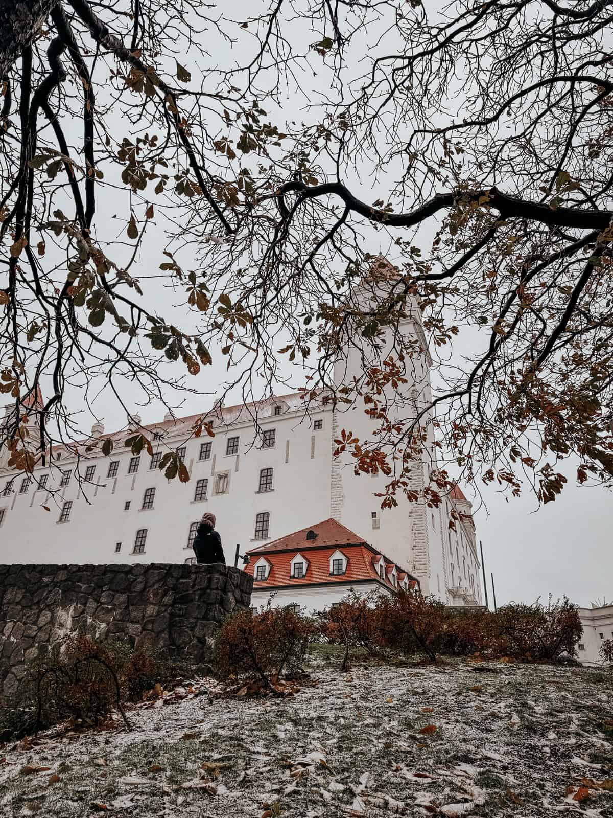 A silhouette of a person standing on a hill, looking at Bratislava Castle partially obscured by bare branches, with a dusting of snow on the ground.