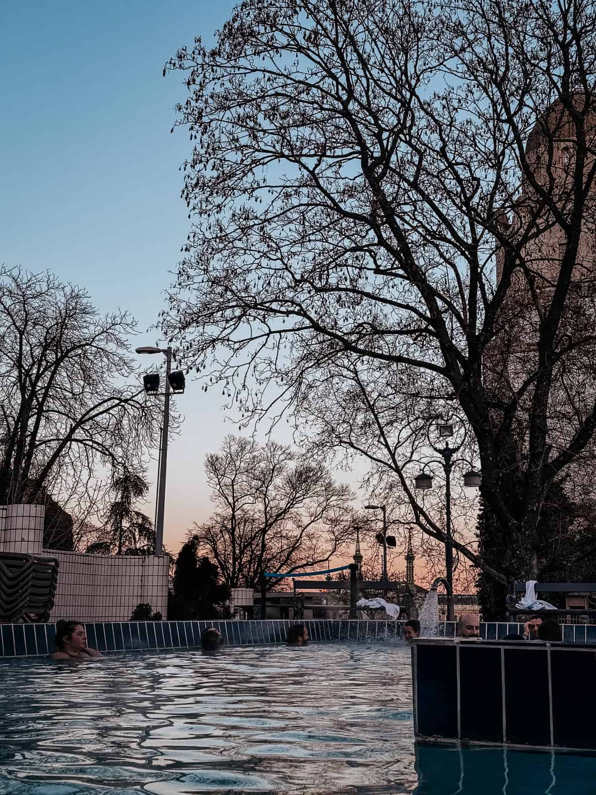 Outdoor thermal pool at the Gellért Baths with people relaxing in the water during sunset, surrounded by bare trees.