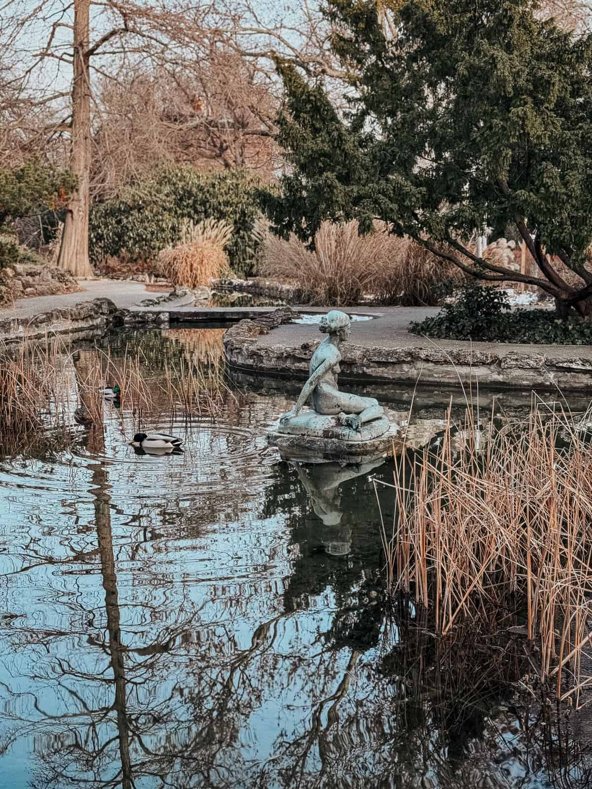 A small pond with a statue of a mermaid and ducks swimming, surrounded by vegetation and trees on Margaret Island.