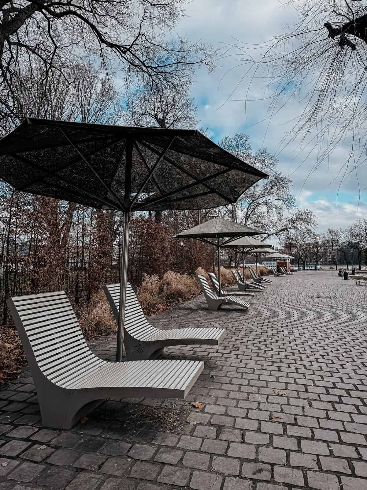 A row of modern lounge chairs with large umbrellas on a paved walkway, surrounded by bare trees and overcast skies on Margaret Island.