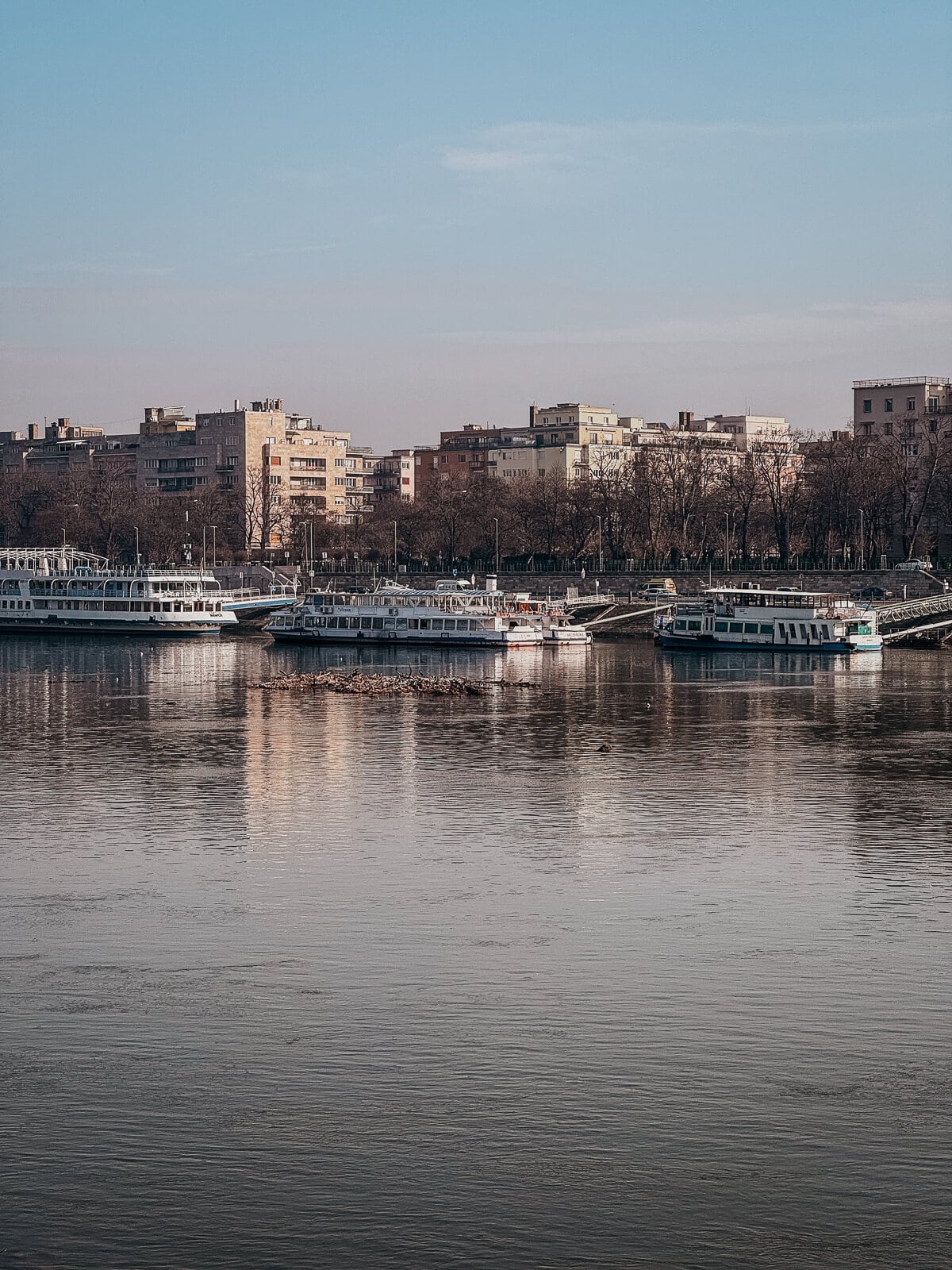 Boats docked along the river with a backdrop of buildings and trees on Margaret Island.