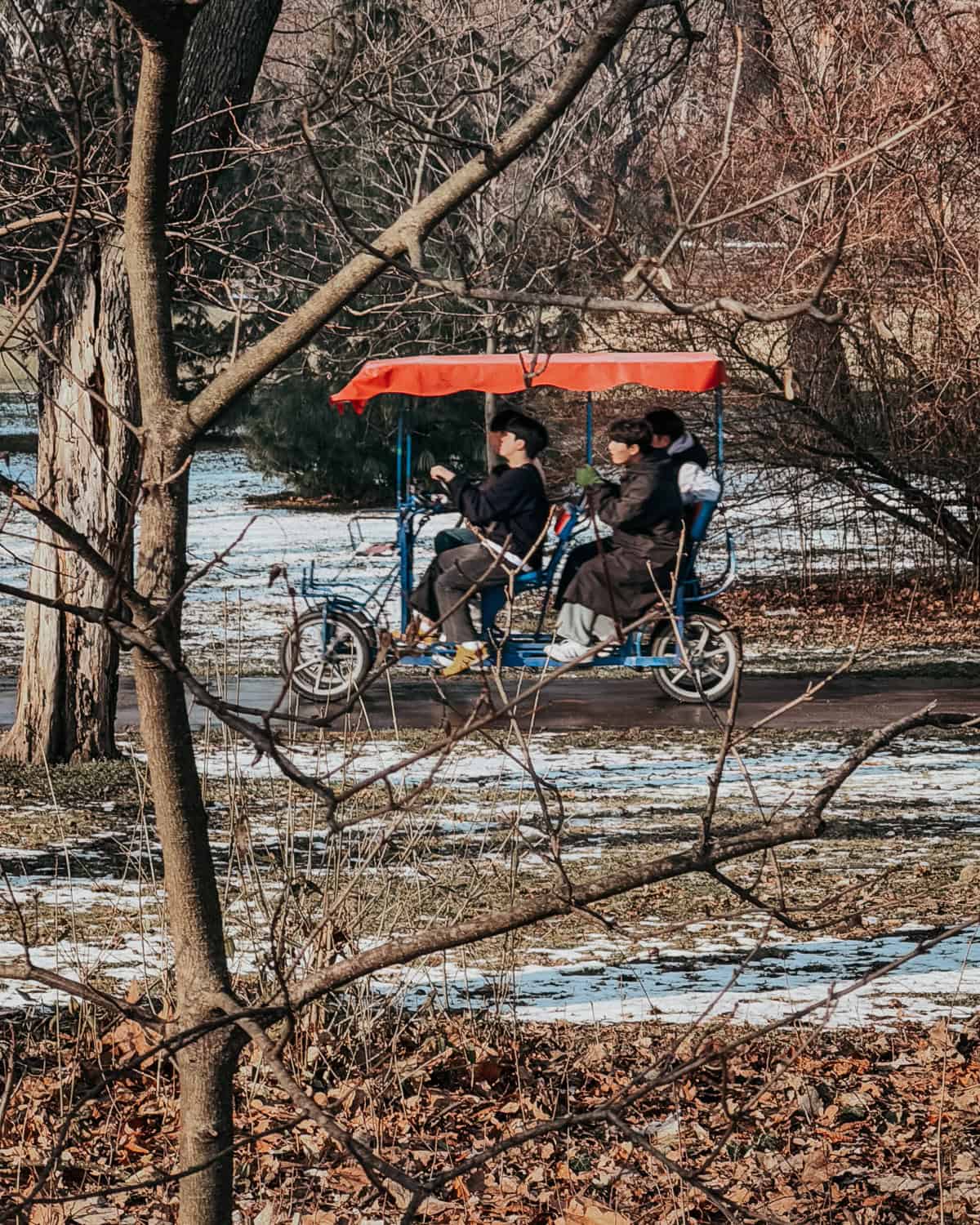 A group of people riding a blue pedal car with a red canopy on a path through a park, with bare trees and patches of snow on the ground.