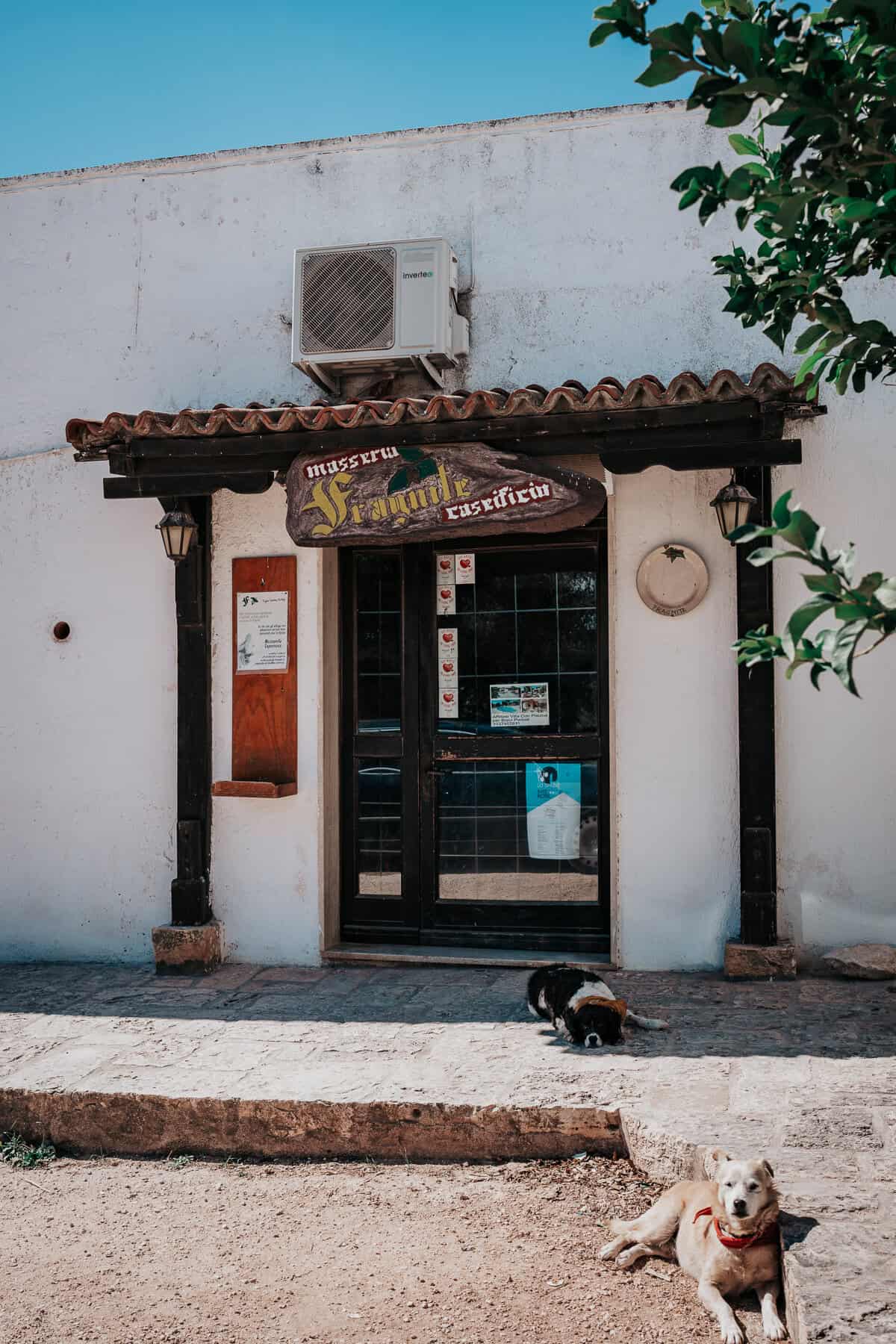 The entrance of Masseria Fragnite, a traditional Italian farmhouse dairy, with two relaxed dogs lounging in the sun near the doorway.